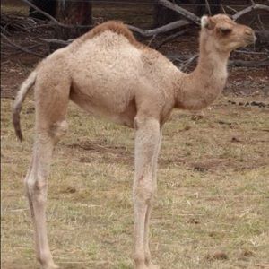 Meet your Posher, Rayonna